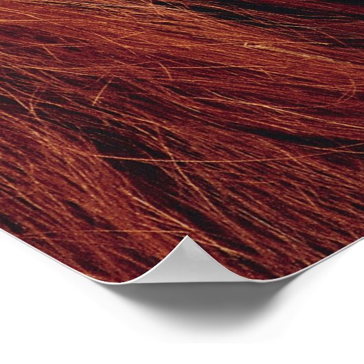 Orangutan Poster (Ecke)