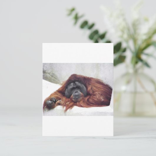 Orangutan Postkarte (Stehend Vorderseite)