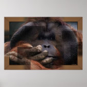 Orangutan Print Poster (Vorne)
