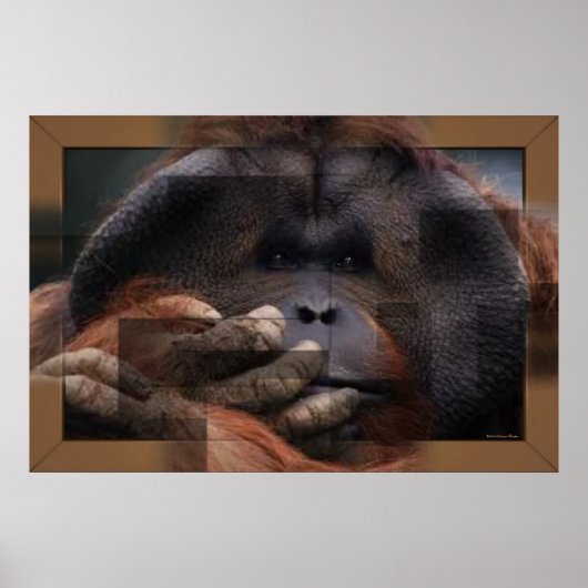 Orangutan Print Poster (Vorne)