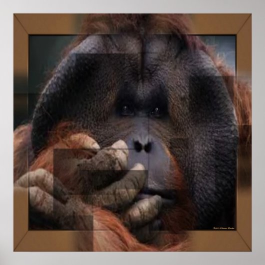 Orangutan Print Poster (Vorne)