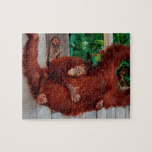 Orangutan Puzzle (Horizontal)
