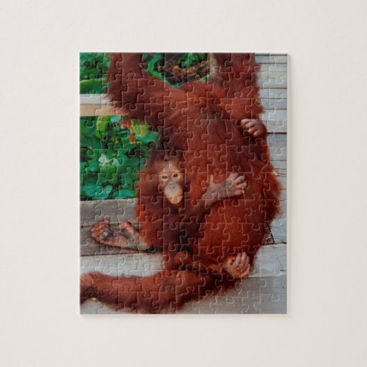Orangutan Puzzle (Vertikal)