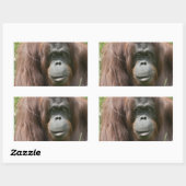 Orangutan Rechteckiger Aufkleber (Blatt)