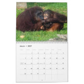 Orangutan Redd 2023 Kalender (Mär 2027)
