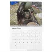 Orangutan Redd 2023 Kalender (Feb 2027)