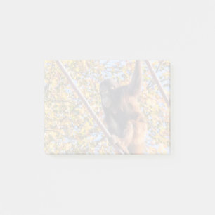 Orangutan Redd in den Post-it-Notes des Nationalpa Post-it Klebezettel