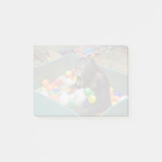 Orangutan Redd in den Post-it-Notes des Nationalpa Post-it Klebezettel