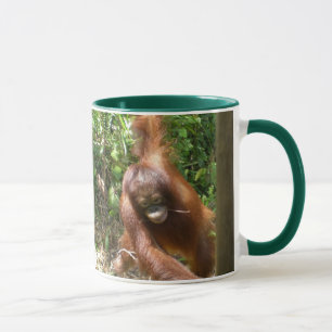 Orangutan Rette Große Affen Tasse