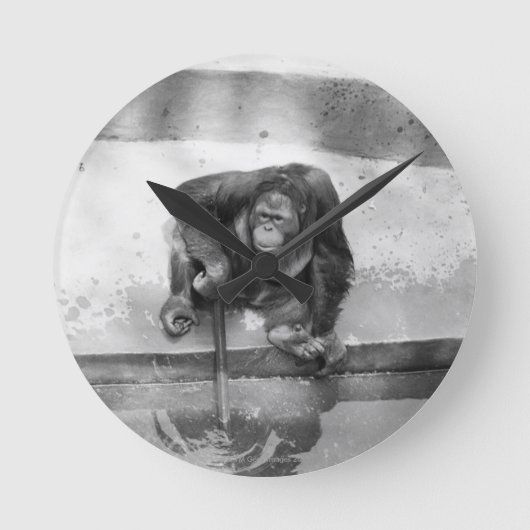 Orangutan Runde Wanduhr (Vorderseite)