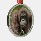 Orangutan Silbernes Ornament (Rechts)