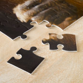 Orangutan Singapore Zoo . Puzzle (Seite)