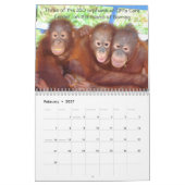 Orangutan-Tierfotografie Kalender (Feb 2027)