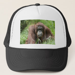Orangutan Truckerkappe