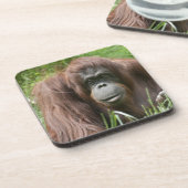 Orangutan Untersetzer (Linke Seite)