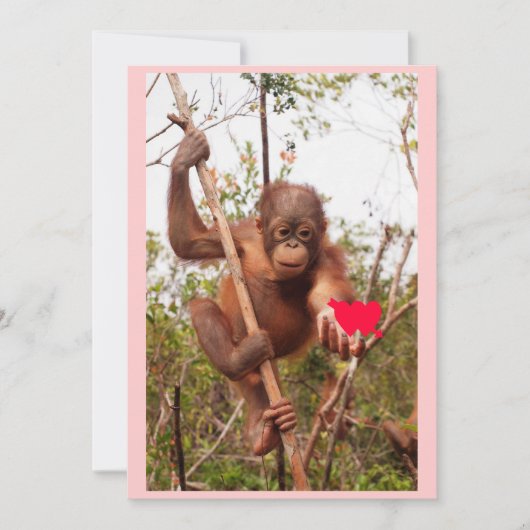 Orangutan Valentine Cards Feiertagskarte (Vorderseite)