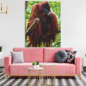 Orangutan - Vollständig Leinwanddruck (Insitu (Wohnzimmer))