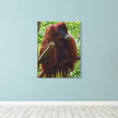 Orangutan - Vollständig Leinwanddruck (Insitu (Holzboden))