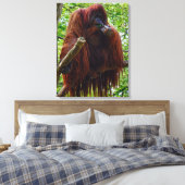 Orangutan - Vollständig Leinwanddruck (Insitu (Schlafzimmer))