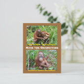 Orangutan-Waisen auf der SFI-Insel Borneo Postkarte (Stehend Vorderseite)