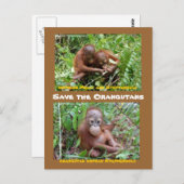 Orangutan-Waisen auf der SFI-Insel Borneo Postkarte (Vorne/Hinten)