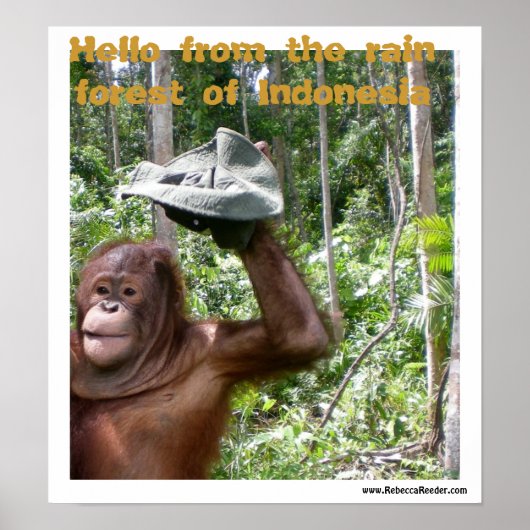 Orangutan-Wald-Begrüßung Poster (Vorne)