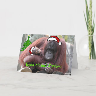 Orangutan Weihnachten