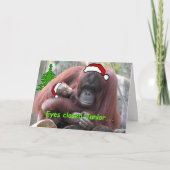 Orangutan Weihnachten (Vorderseite)