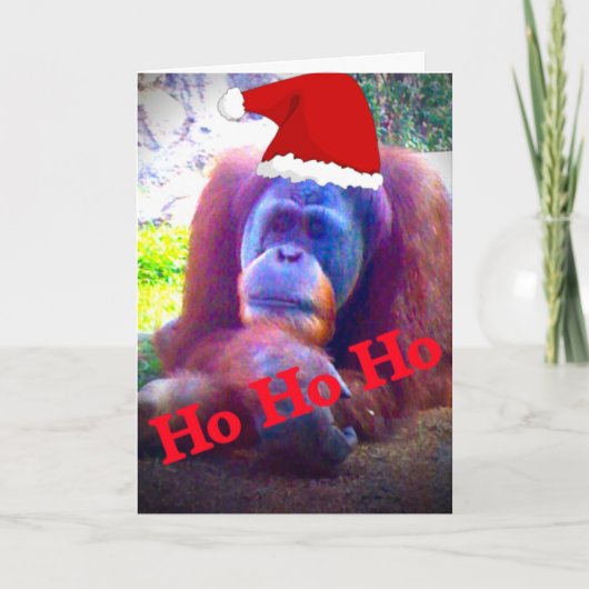 Orangutan Weihnachtskarten Feiertagskarte (Vorderseite)