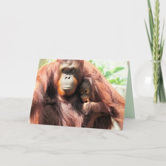 Orangutan wirft Muttertagskarte auf Karte (Vorderseite)