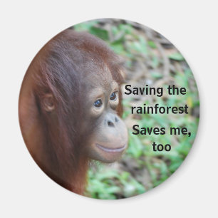 Orangutan Wohltätigkeit Magnet