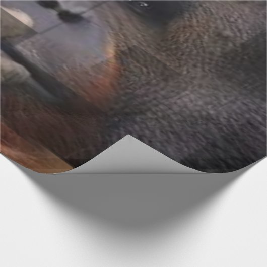 Orangutan Wrapping Paper Geschenkpapier (Ecke)