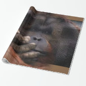 Orangutan Wrapping Paper Geschenkpapier (Ungerollt)