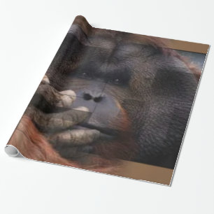 Orangutan Wrapping Paper Geschenkpapier