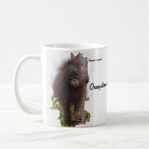 Orangutane in der Borneo-Kaffeezucht-Tasse Kaffeetasse