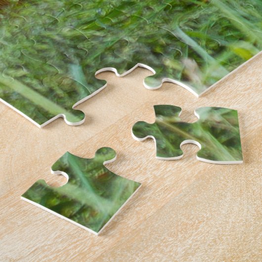 Orangutane. Puzzle (Seite)