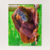 Orangutane. Puzzle (Vertikal)