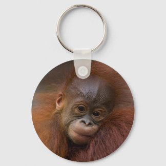 Orangutang Schlüsselanhänger