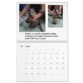 Orangutans Borneo-Kalender Kalender (Mär 2027)