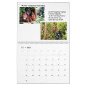 Orangutans Borneo-Kalender Kalender (Jan 2027)