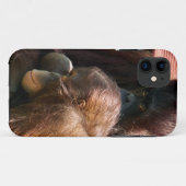 ORANGUTANS Case-Mate iPhone HÜLLE (Rückseite (Horizontal))