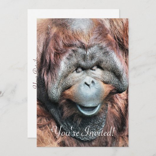 ORANGUTANS EINLADUNG (Vorne/Hinten)