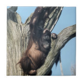 ORANGUTANS FLIESE (Vorderseite)