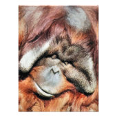 ORANGUTANS FOTODRUCK (Vorne)