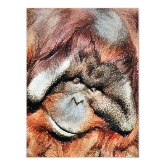 ORANGUTANS FOTODRUCK (Vorne)
