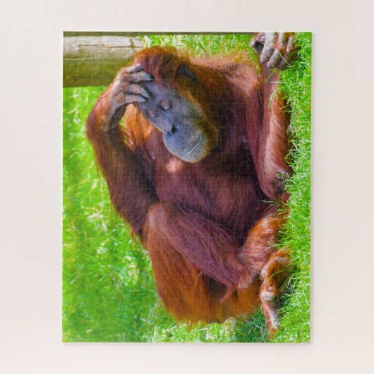 Orangutans. Jigsaw Puzzle (Vertikal)