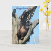 ORANGUTANS KARTE (Gelbe Blume)