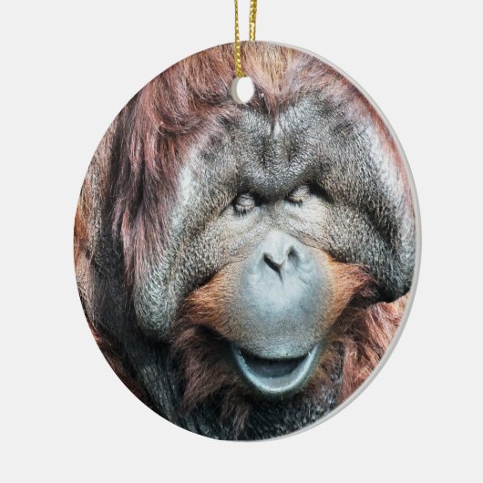 ORANGUTANS KERAMIKORNAMENT (Links)