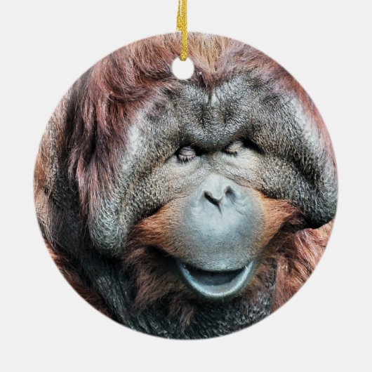 ORANGUTANS KERAMIKORNAMENT (Hinten)