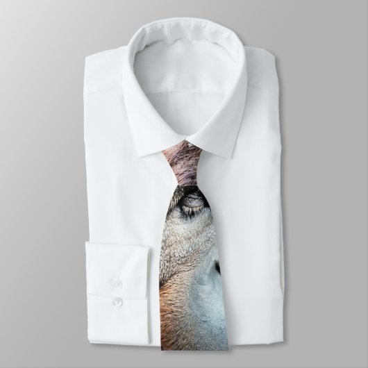 ORANGUTANS KRAWATTE (Gebunden)